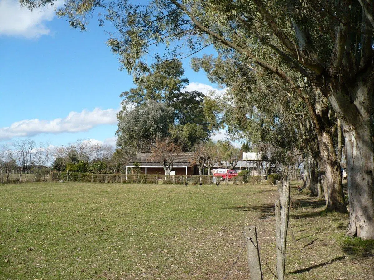 venta campo zarate 3