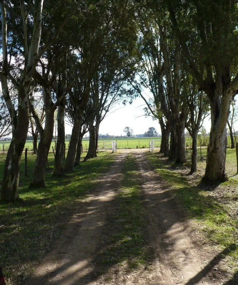 venta campo zarate 4