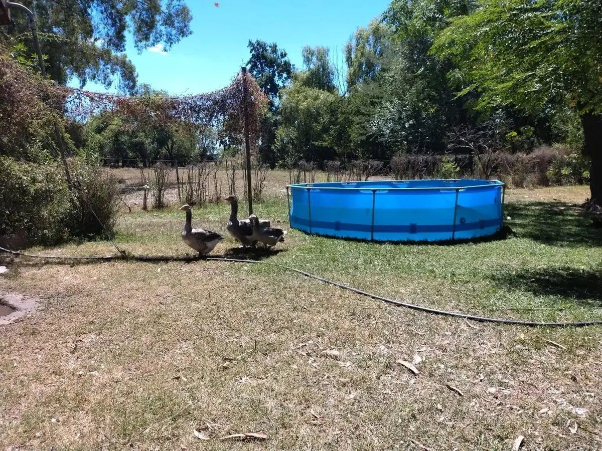 venta campo zarate 2