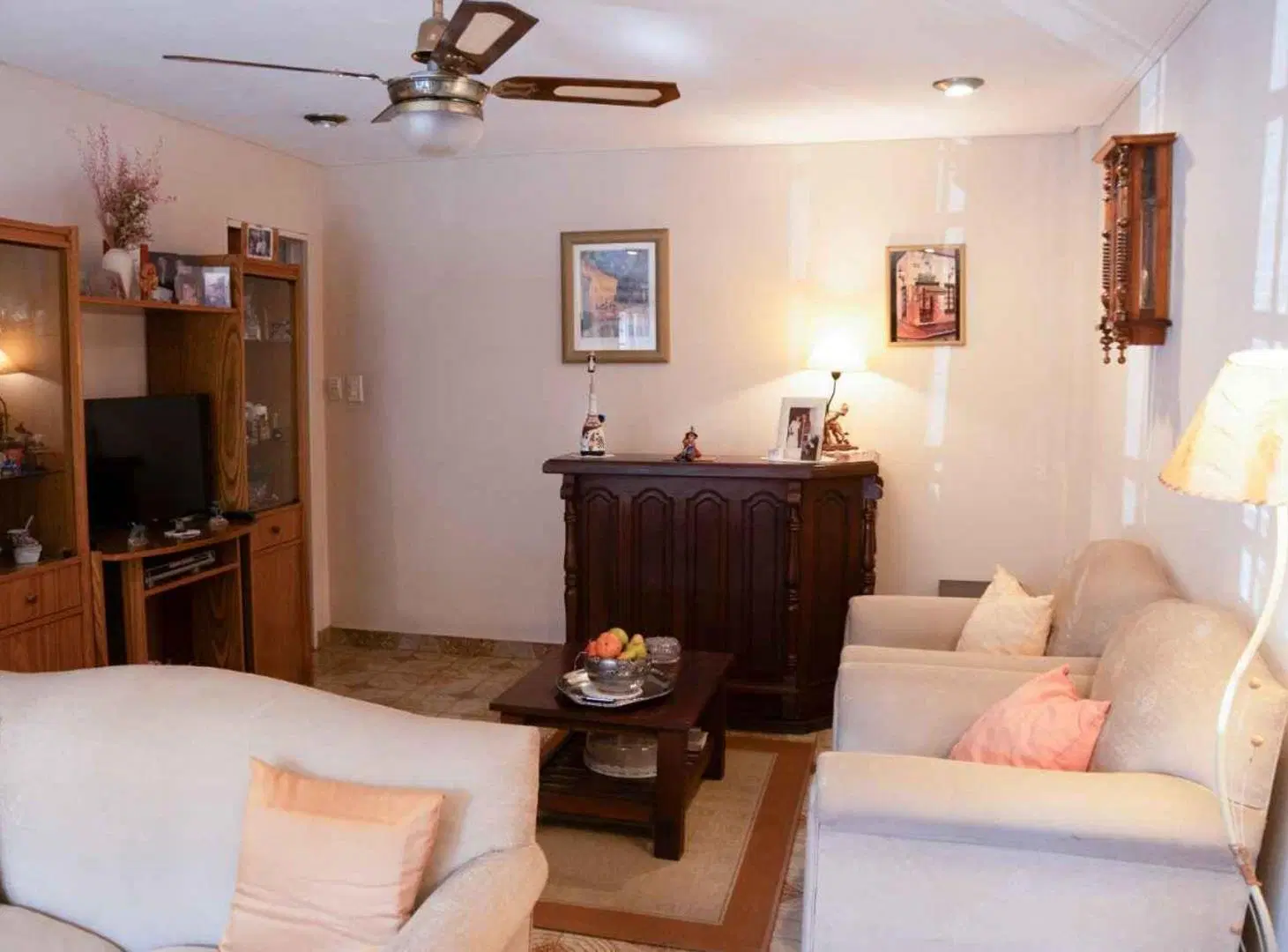 Venta Casa MULTIFAMILIAR - Villa Adelina 3