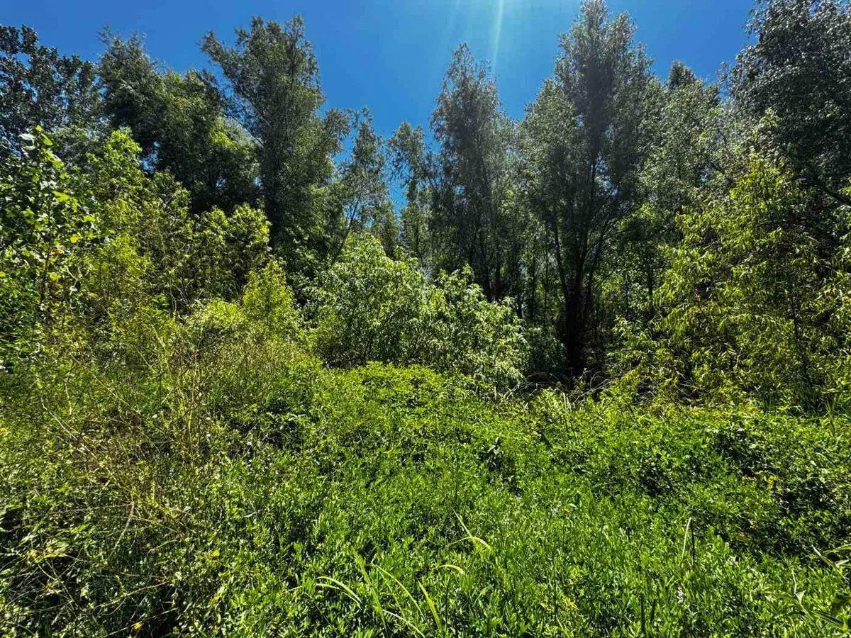 TERRENO EN VENTA ESCOBAR 3 HECTAREAS RUTA 25 4
