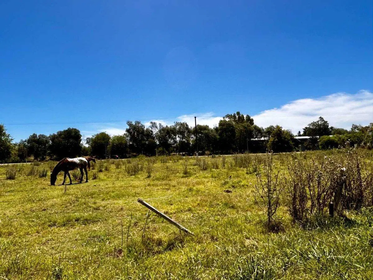 Venta 15 lotes c/ subdivisión entrada Carlos Keen 4