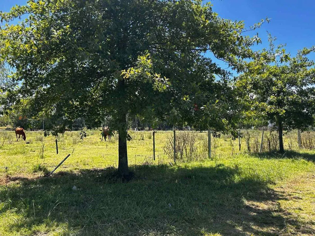 Venta 15 lotes c/ subdivisión entrada Carlos Keen 3