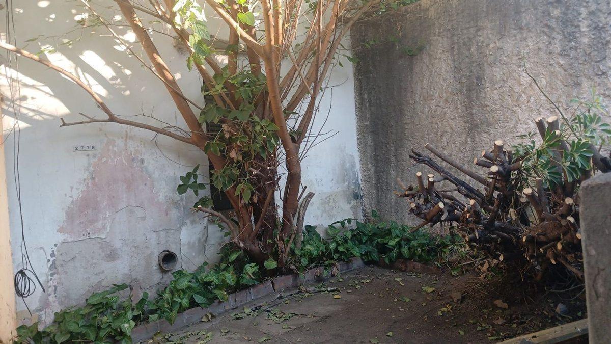 Foto de LOTE 300M2 OPORTUNIDAD ÚNICA EN VICENTE LÓPEZ!, imagen 2