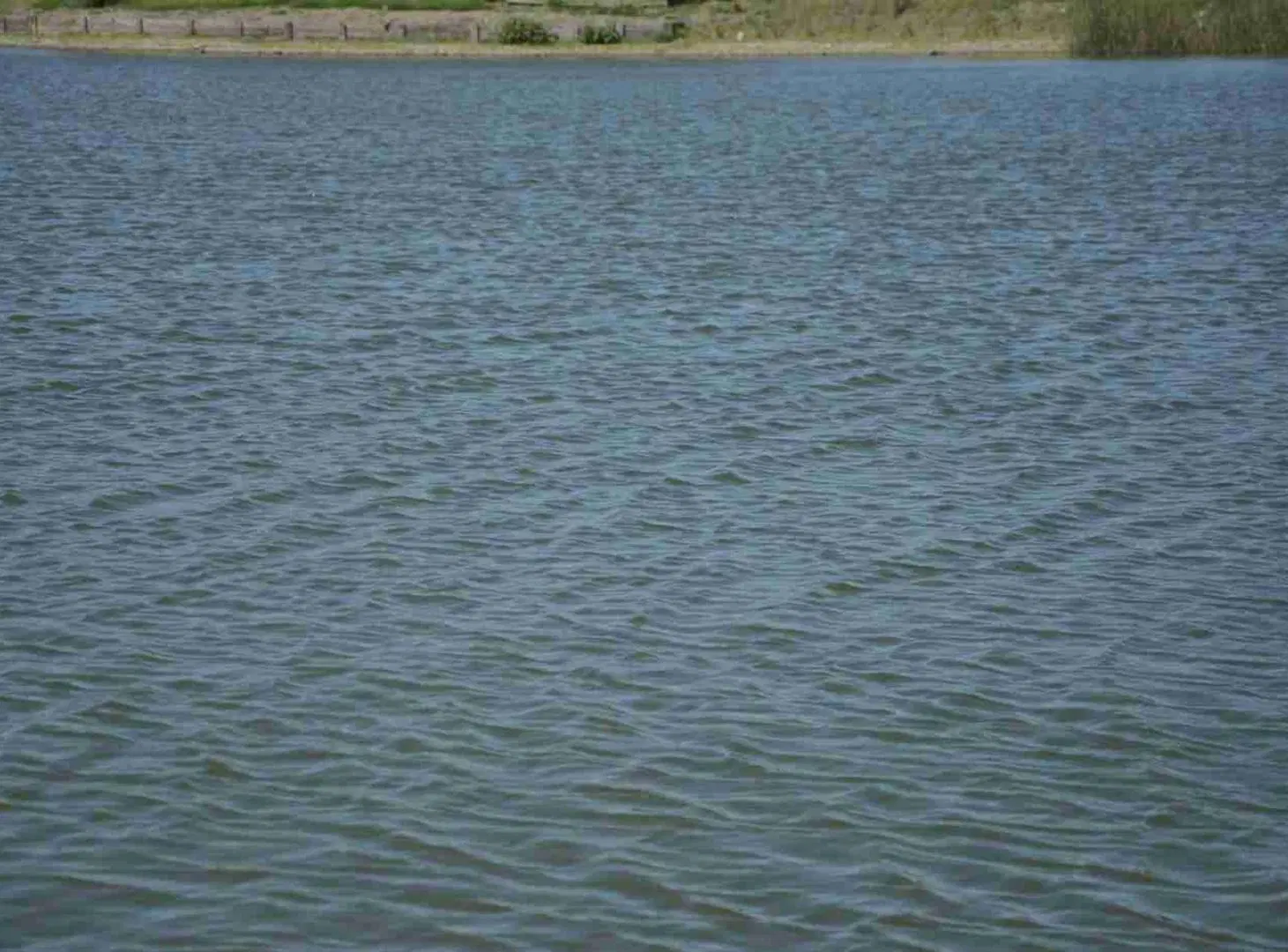 VENTA LOTE A LA LAGUNA SAN SEBASTIAN PILAR AREA11 8