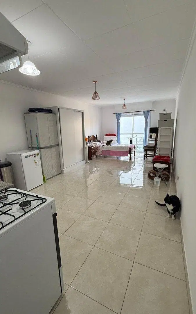 departamento villa ballester 5