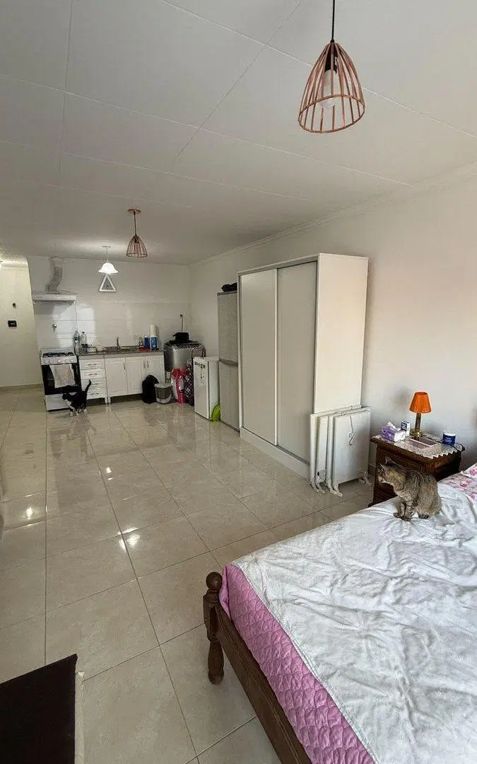 departamento villa ballester 4