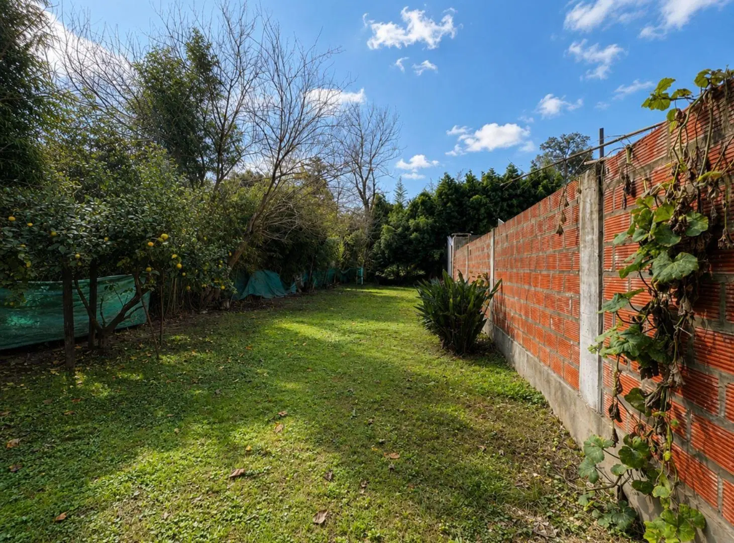 VENTA CASA 4 AMBIENTES CON JARDIN MASCHWITZ 4