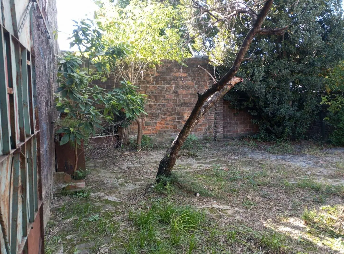 Galpón / Depósito sobre Av. Avellaneda – Virreyes 4