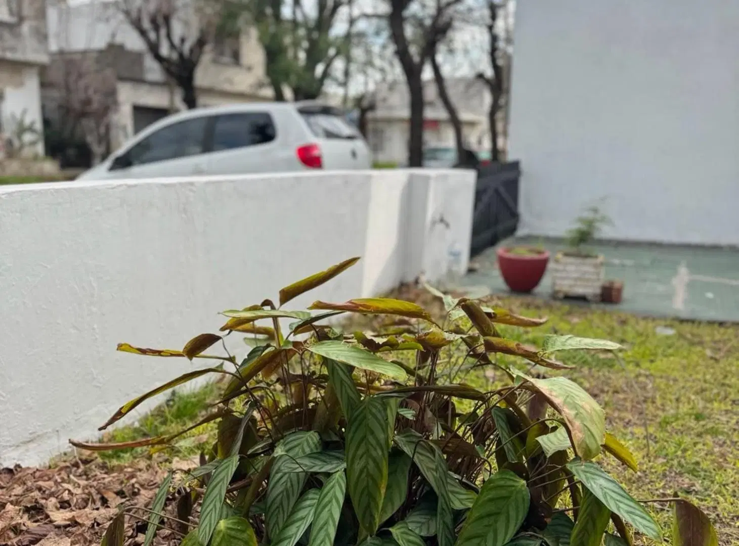 Venta Casa Aldo Bonzi 2 dorm Lote 10x30 jardín 2