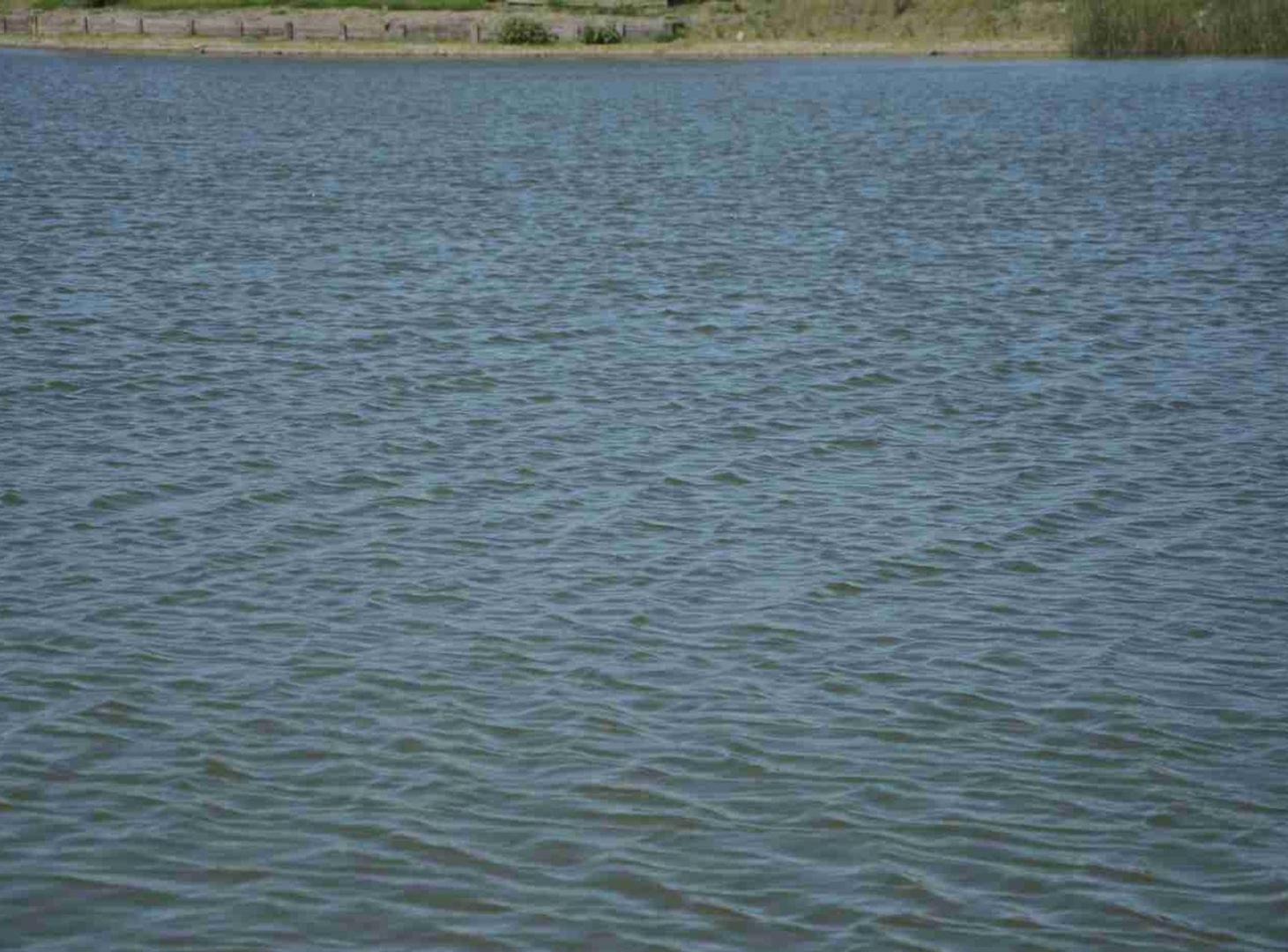 Foto de VENTA LOTE A LA LAGUNA SAN SEBASTIAN PILAR AREA11, imagen 4