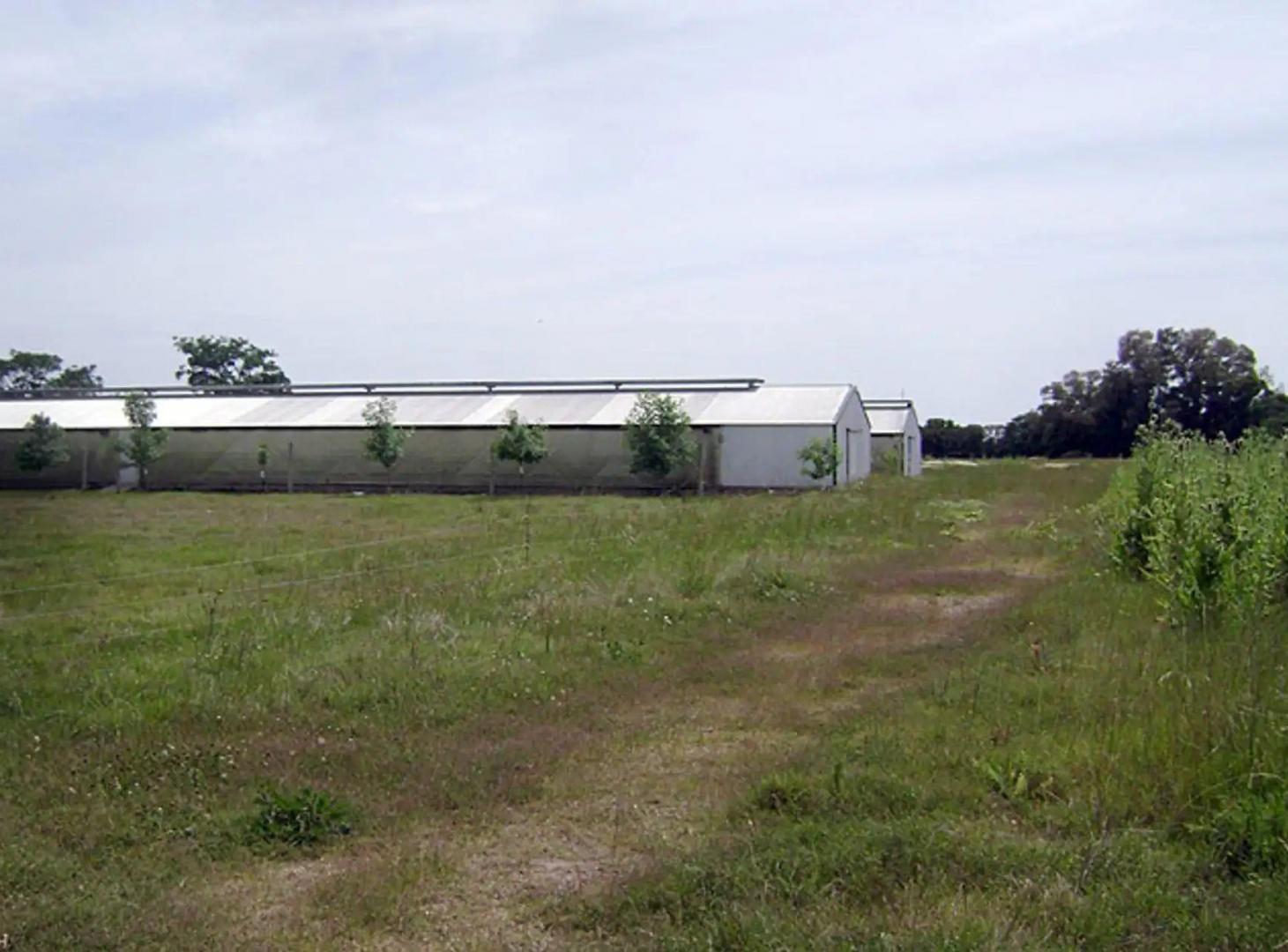 Foto de Campo en venta San Andres de Giles, imagen 2