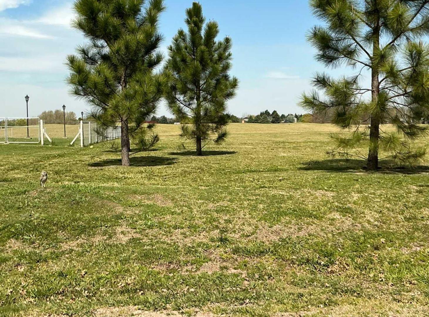 Foto de Lote venta en La Primavera golf posib de financiar, imagen 4