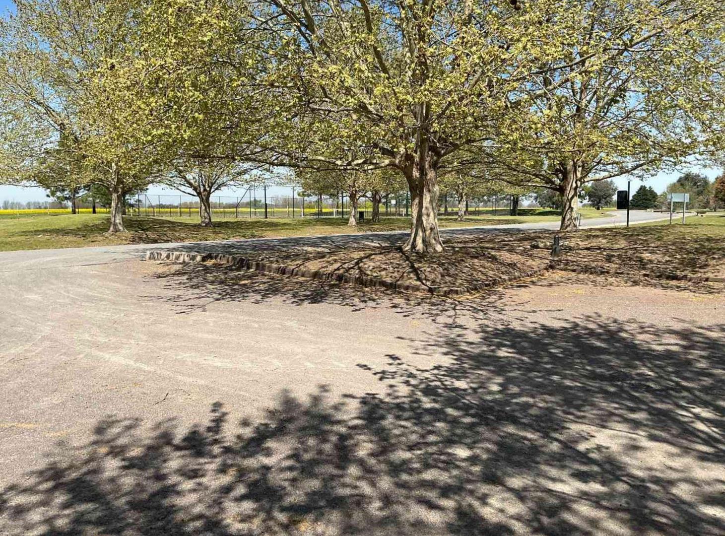 Foto de Lote venta en La Primavera golf posib de financiar, imagen 5