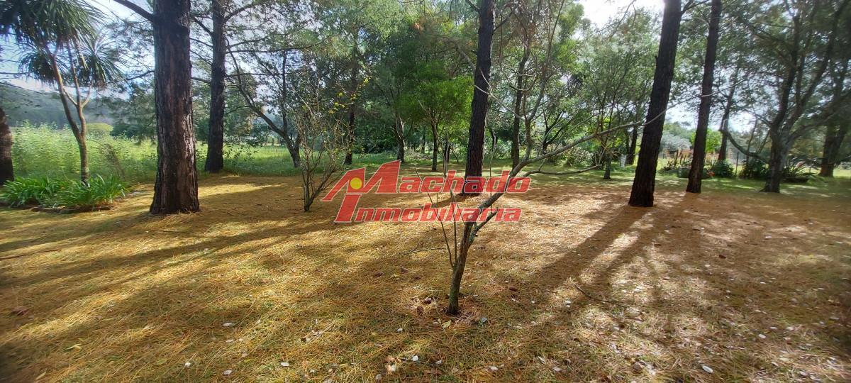 Foto de Venta chacra zona La Pataia, Punta Ballena, imagen 3