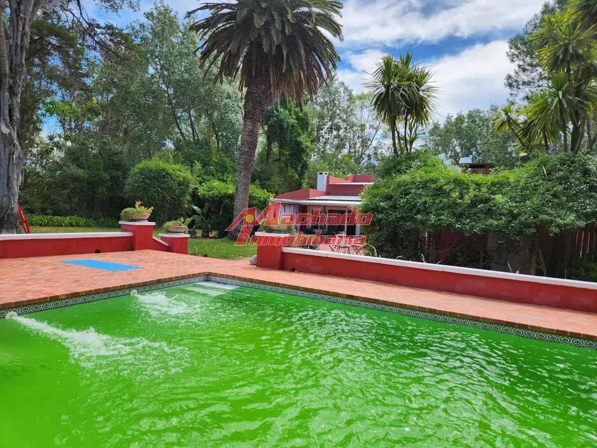 Venta chacra tipo quinta, Punta Ballena 8