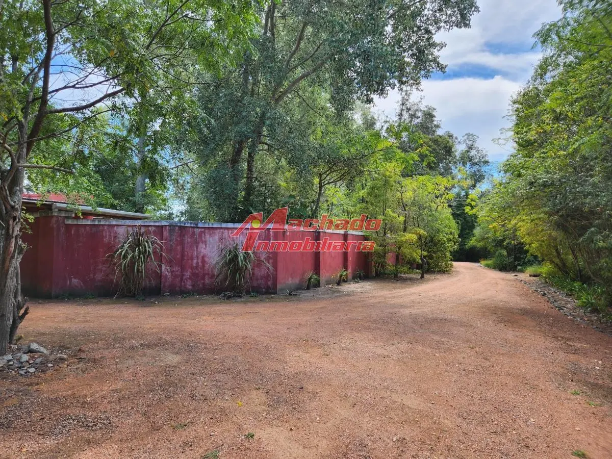 Venta chacra tipo quinta, Punta Ballena 4