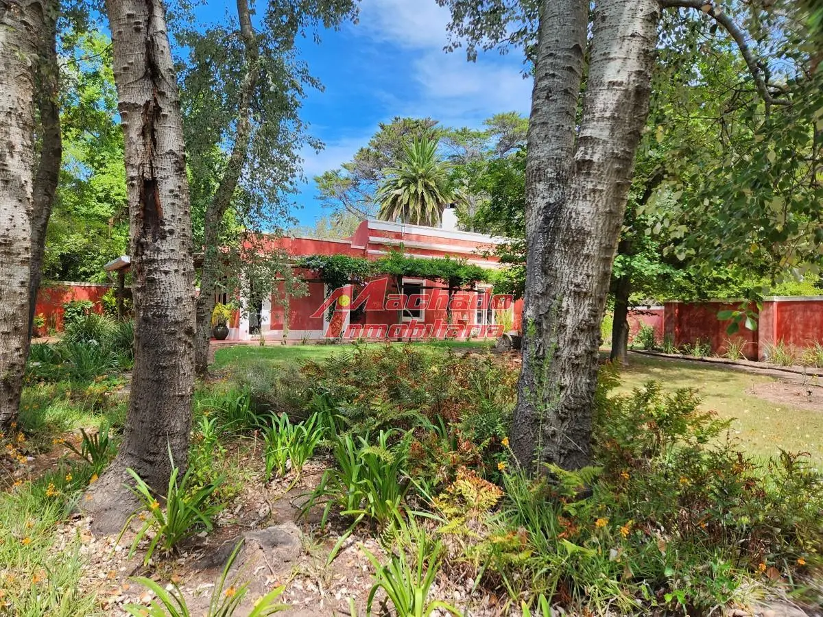 Venta chacra tipo quinta, Punta Ballena 1