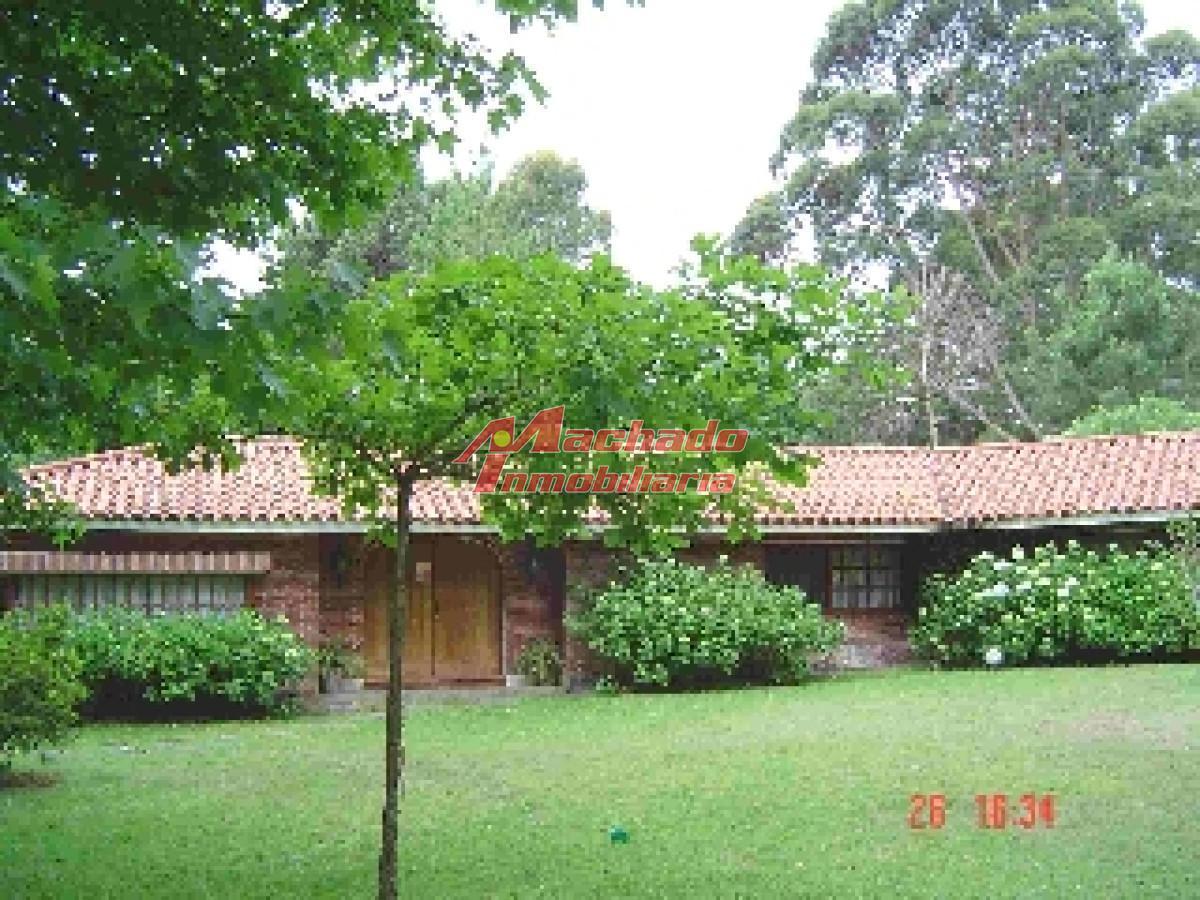 Foto de Casa en venta Punta Ballena, imagen 4
