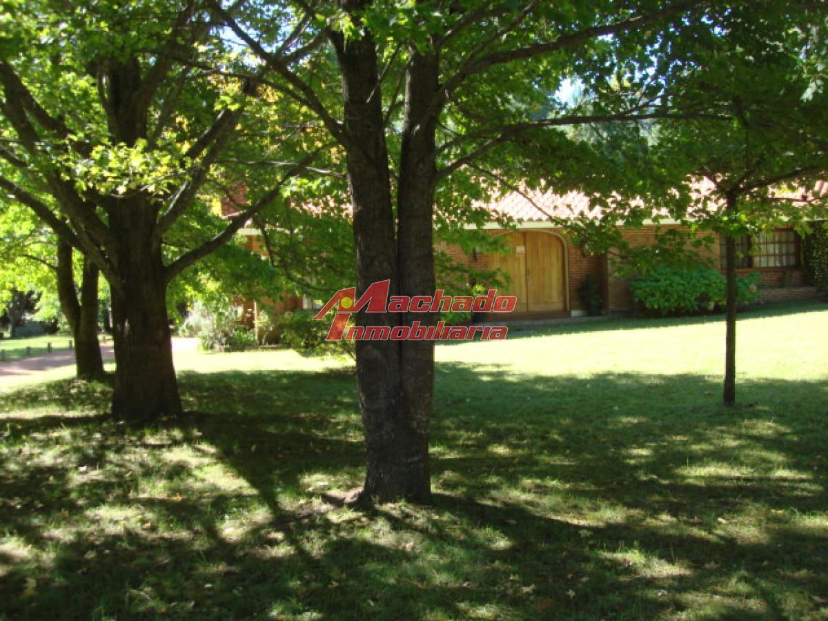 Foto de Casa en venta Punta Ballena, imagen 2