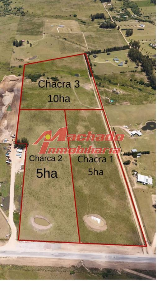 Foto de Venta de chacra en Ruta 12, imagen 4
