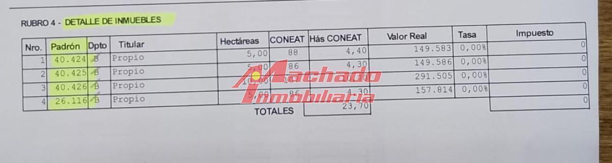 Foto de Venta de chacra en Ruta 12, imagen 5