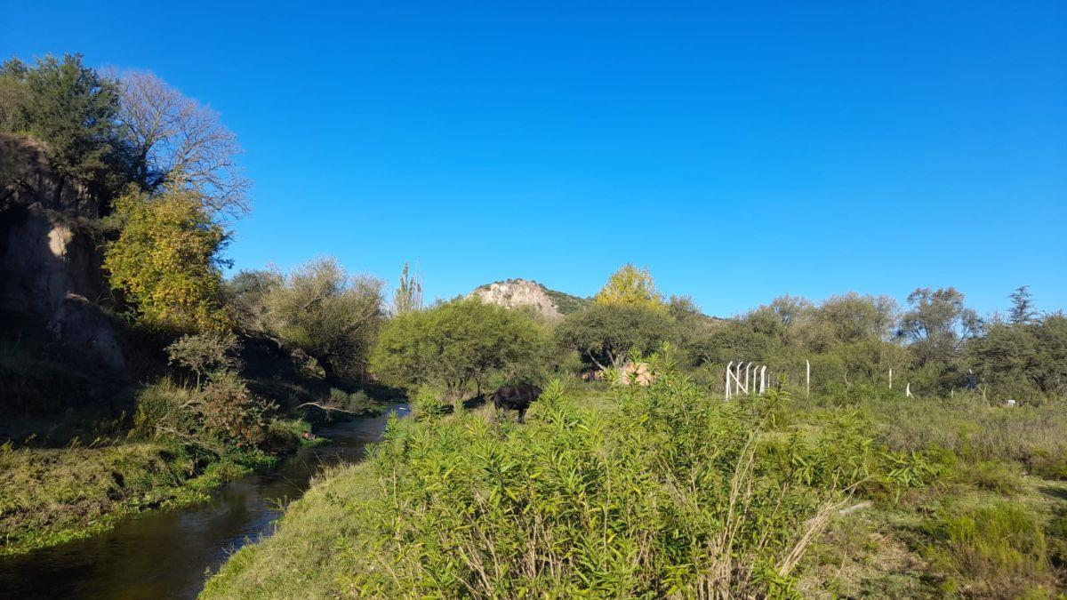 Foto de Venta de Terreno en El volcan | San Luis, imagen 4