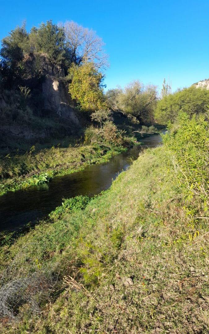 Foto de Venta de Terreno en El volcan | San Luis, imagen 5