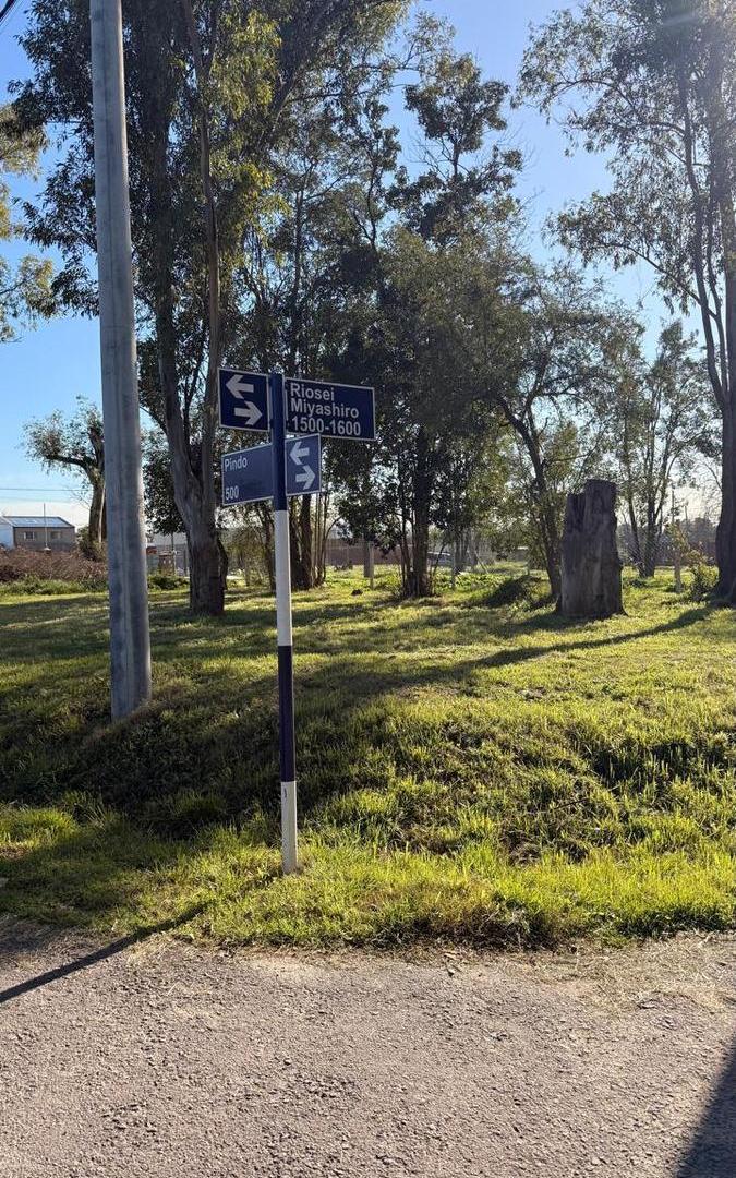 Foto de Terreno en Barrio Fronda Escobar, imagen 2