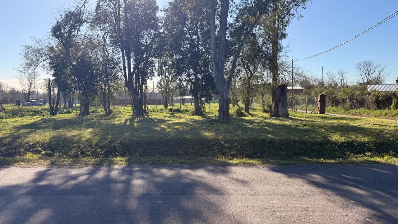 Foto de Terreno en Barrio Fronda Escobar, imagen 4