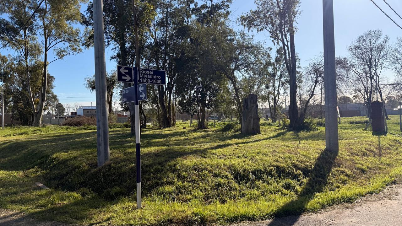 Foto de Terreno en Barrio Fronda Escobar, imagen 1