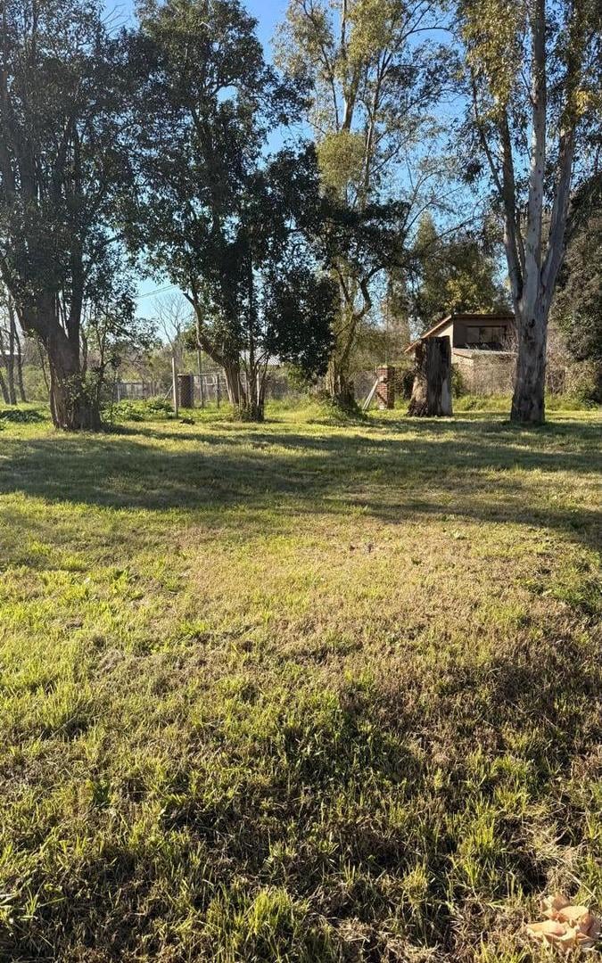 Foto de Terreno en Barrio Fronda Escobar, imagen 2