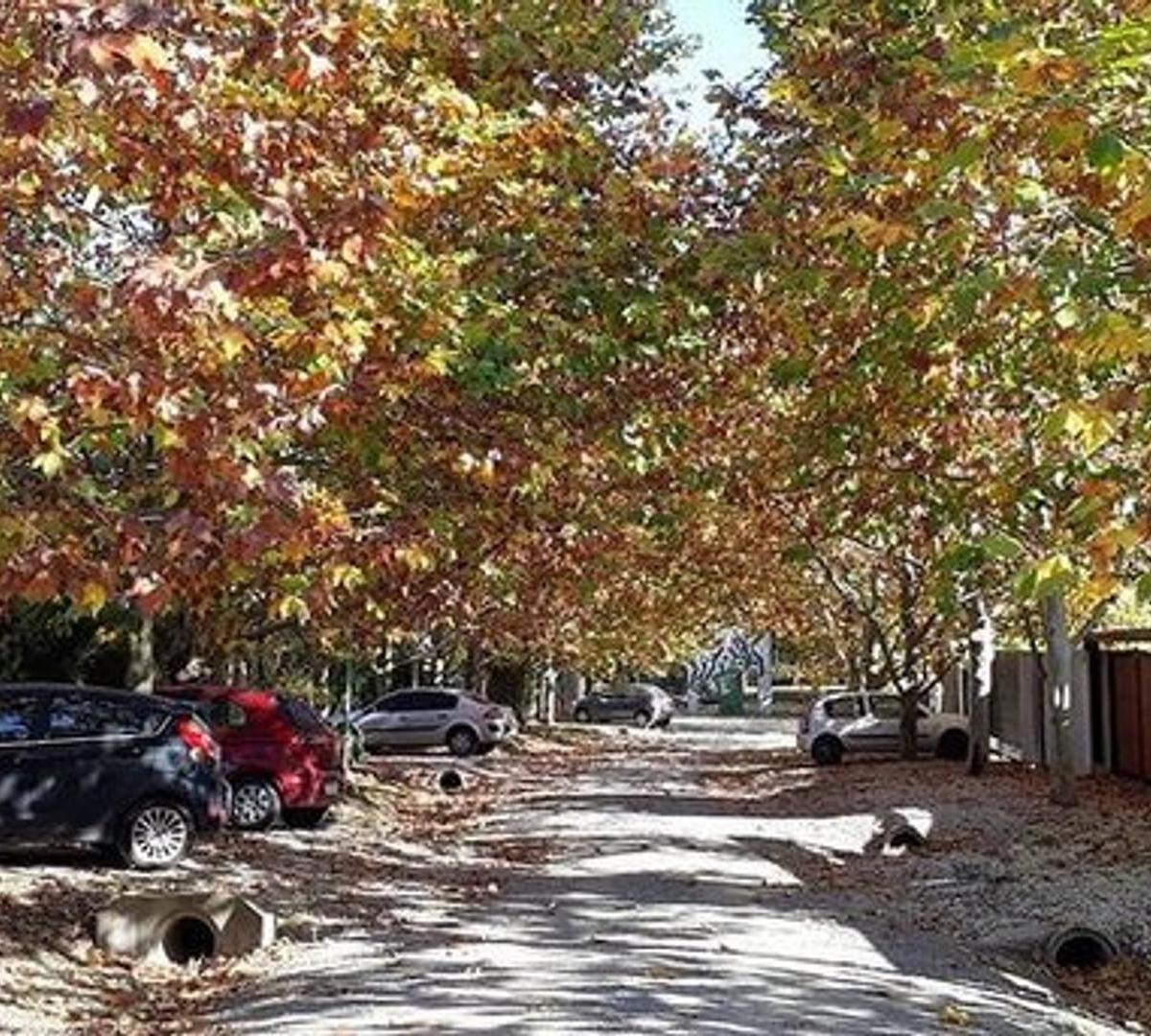 Lote en Venta Barrio Angosto