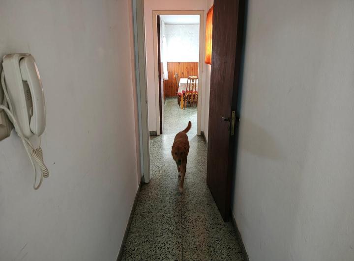 Foto de Departamentos en Venta Av. 7 - 34 y 35, imagen 4