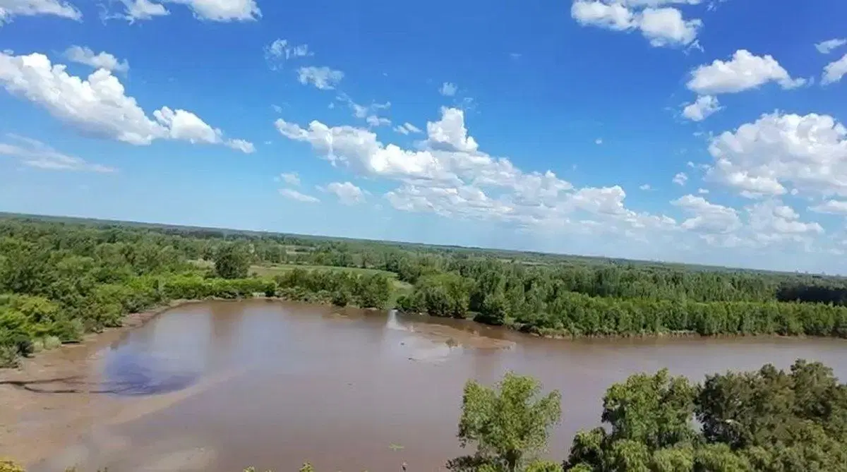 VENTA 26,9 ha en 1ra. Secc. Delta. Apto inversores 2