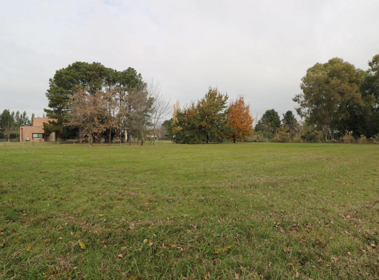 Foto de VENTA EXCLUSVO LOTE FINCAS SAN VICENTE CHACRAS I, imagen 5