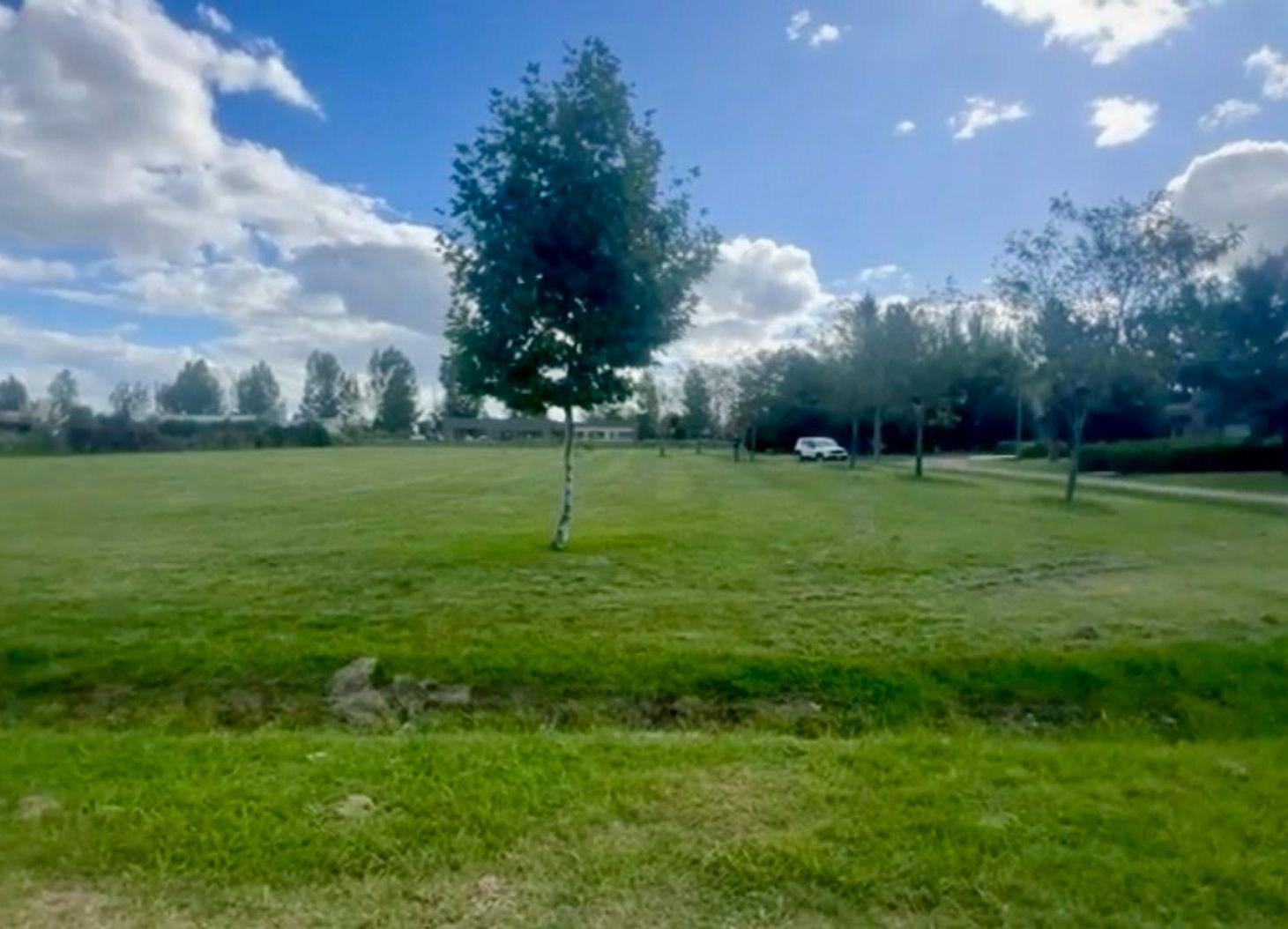 Foto de VENTA EXCLUSVO LOTE FINCAS SPORTING SAN VICENTE, imagen 3