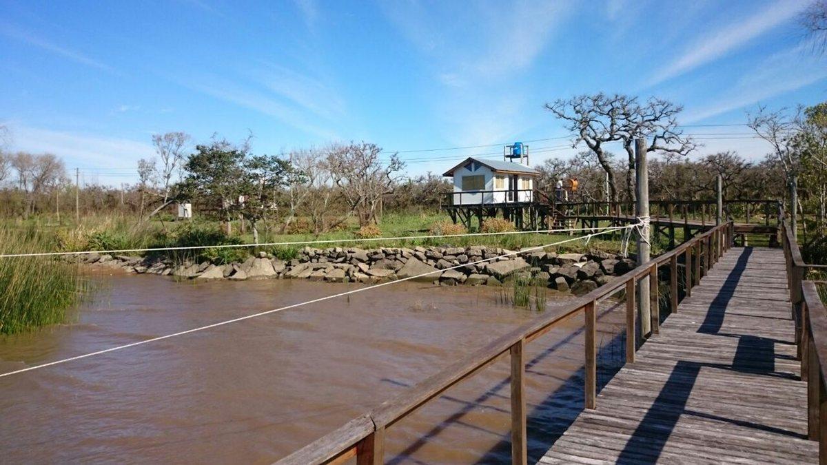 Foto de VENTA 8,4 ha para inversión – Canal Honda - Delta, imagen 4