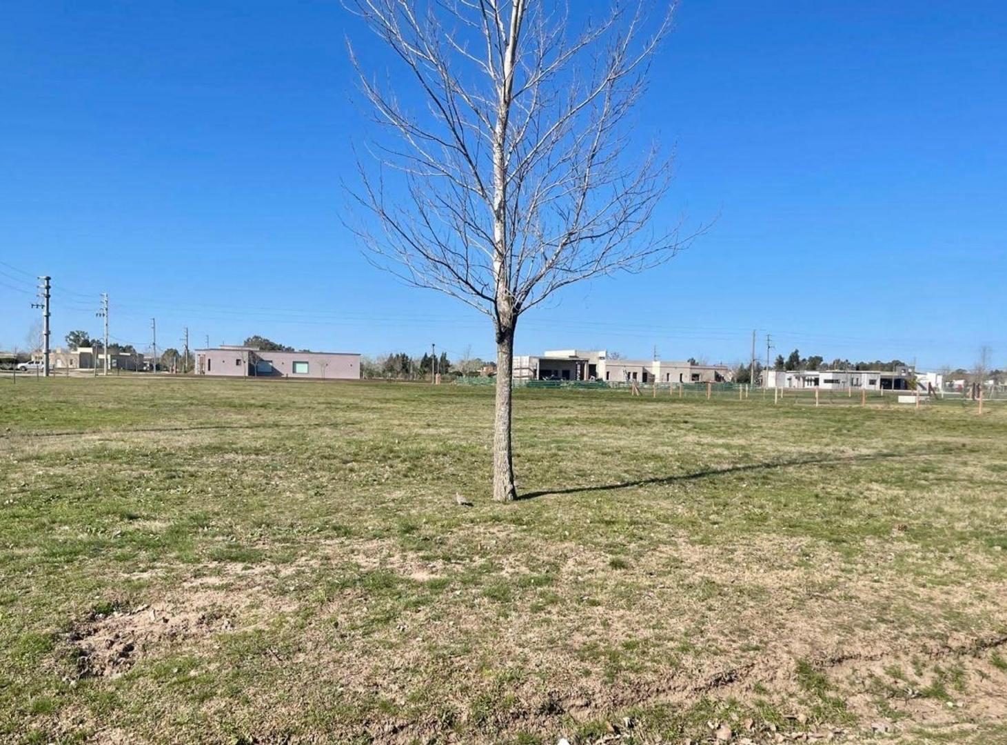 Foto de VENTA LOTE FINCAS SAN VICENTE CHACRAS URBANAS II, imagen 2