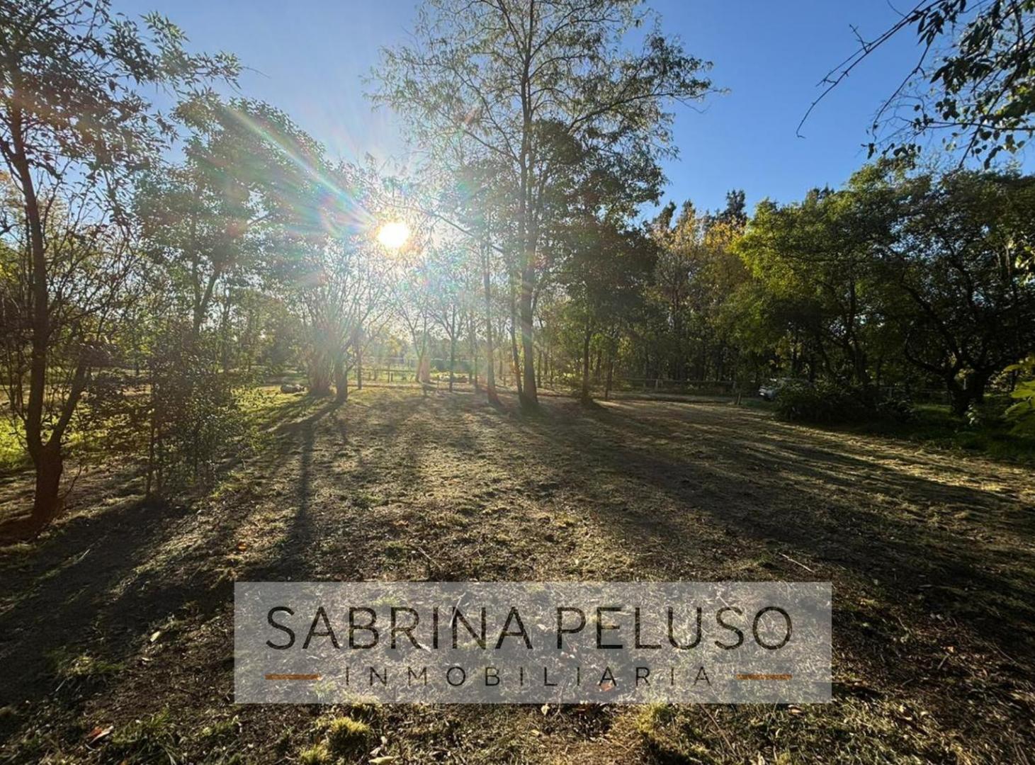Foto de Venta de Terreno en La Reja, imagen 3