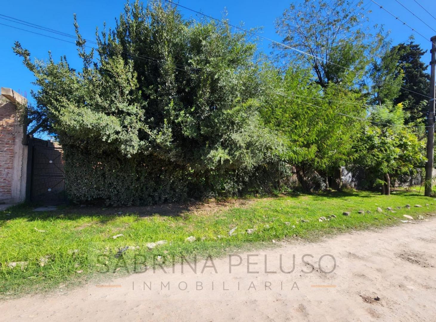 Foto de Terreno en venta en merlo, imagen 1