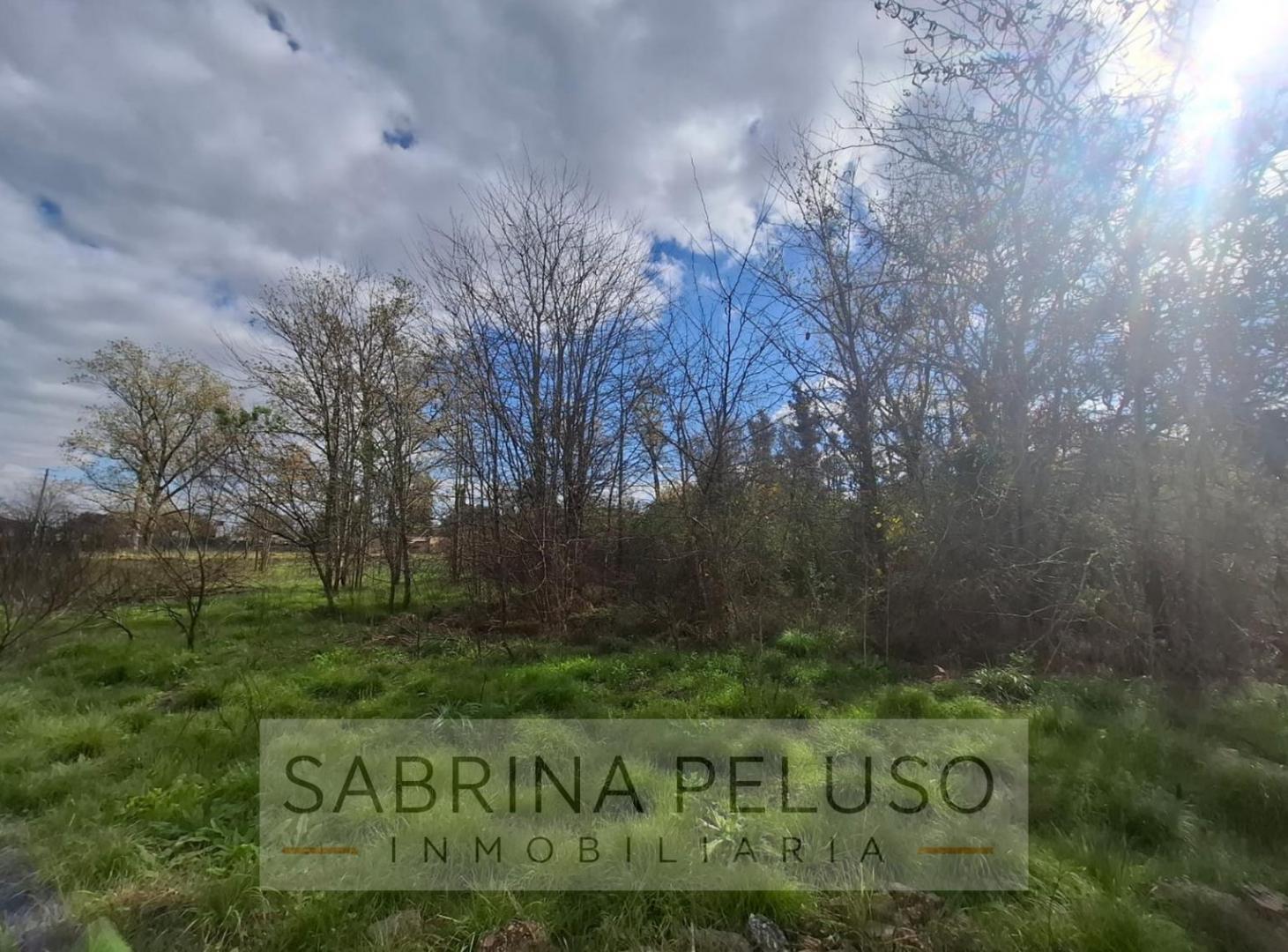 Foto de Venta lote La Reja -1500m2, imagen 5