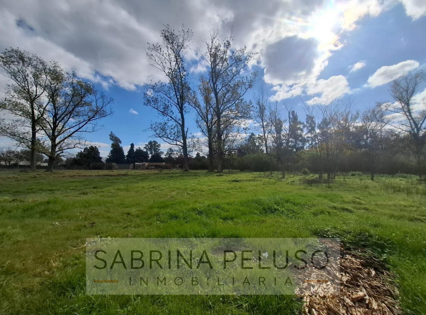 Foto de Venta lote La Reja -1500m2, imagen 4