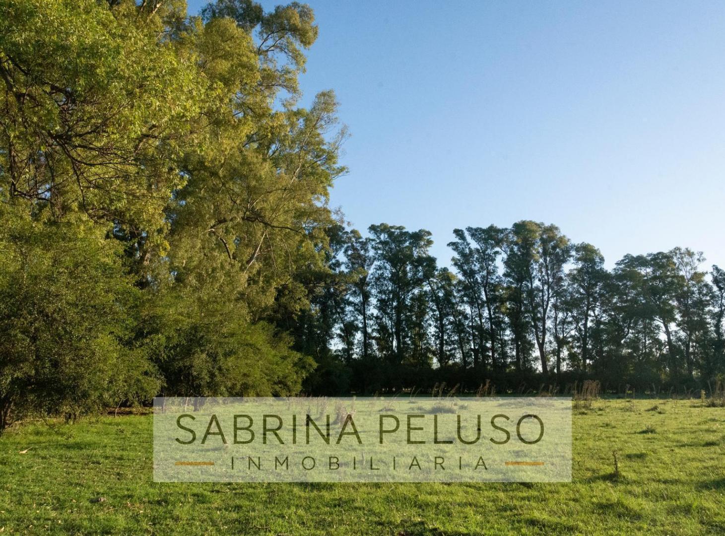 Foto de venta lote/terreno plomer, imagen 4