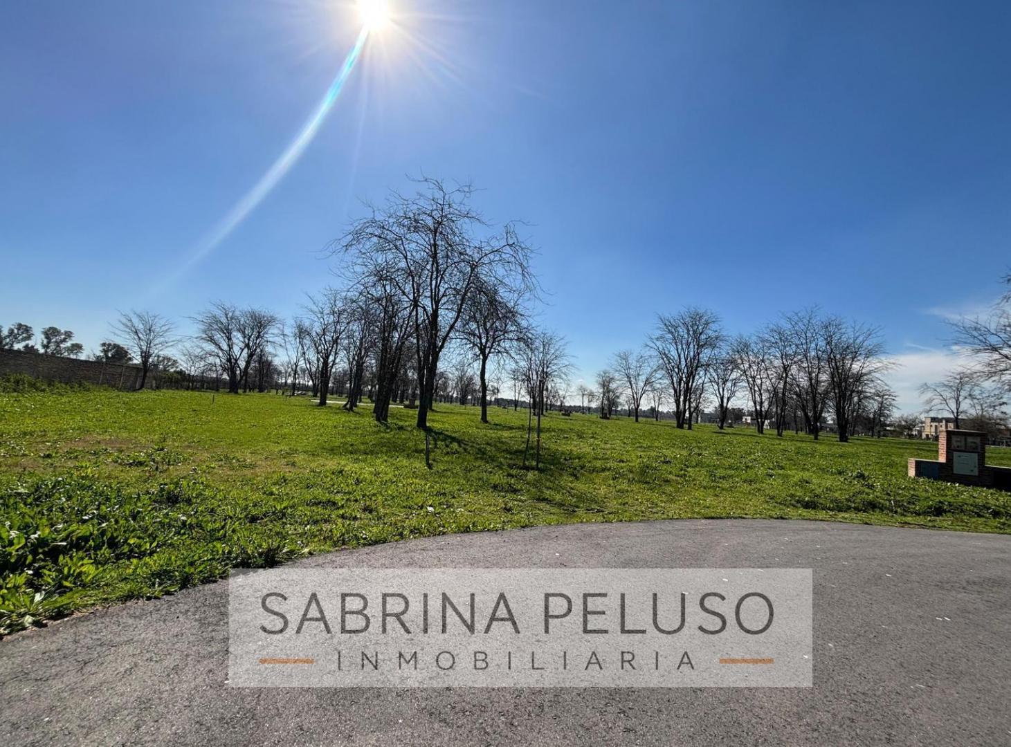 Foto de Venta de Terreno Prados del Oeste 2, imagen 3