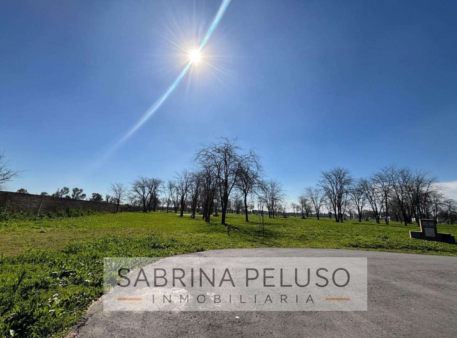 Foto de Venta de Terreno Prados del Oeste 2, imagen 3