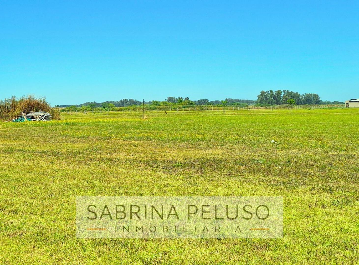Foto de VENTA Terreno tres pinos 3 pinos, imagen 5