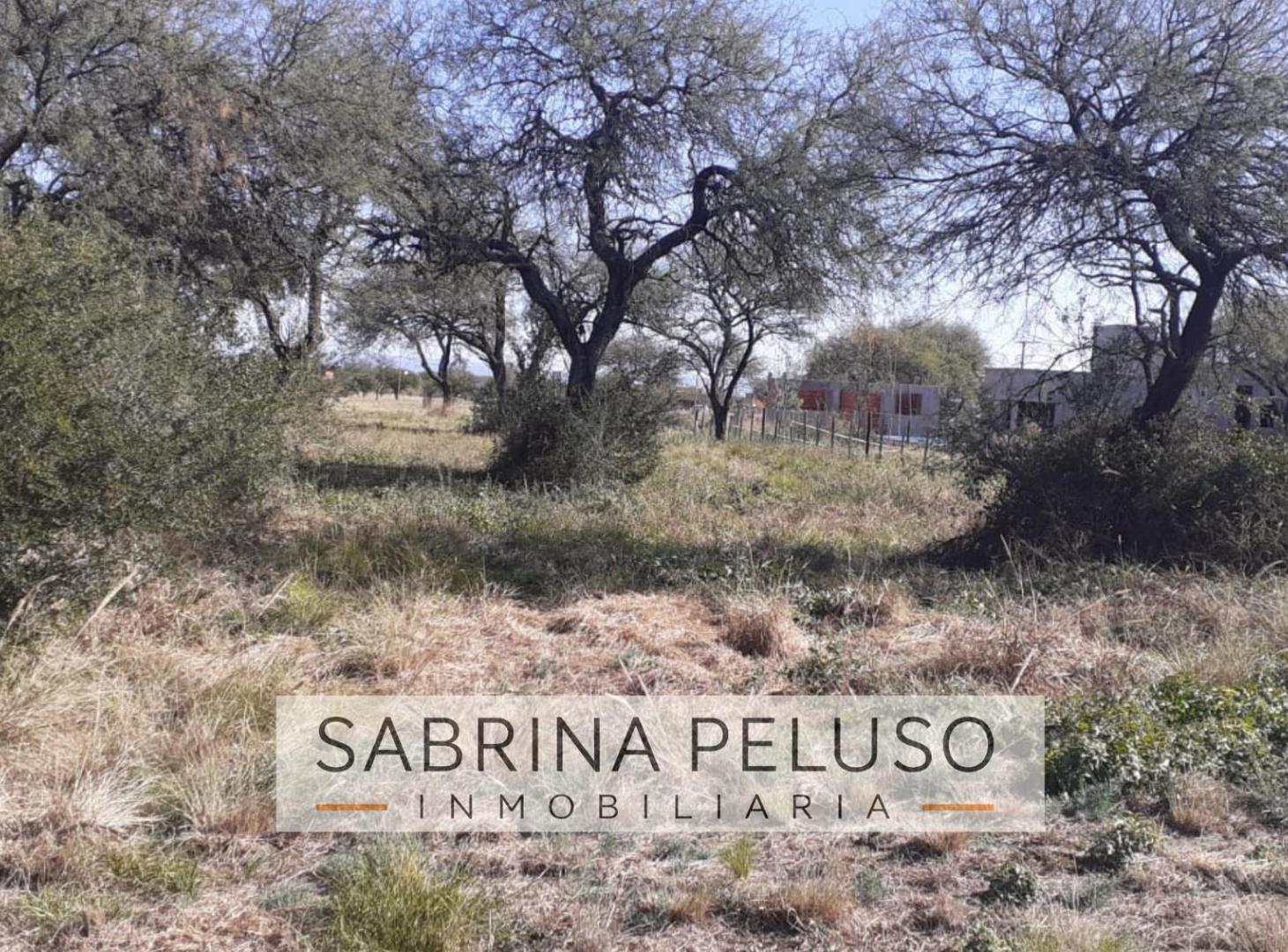 Foto de Venta Lote Barrio Privado Solares del Valle, imagen 4