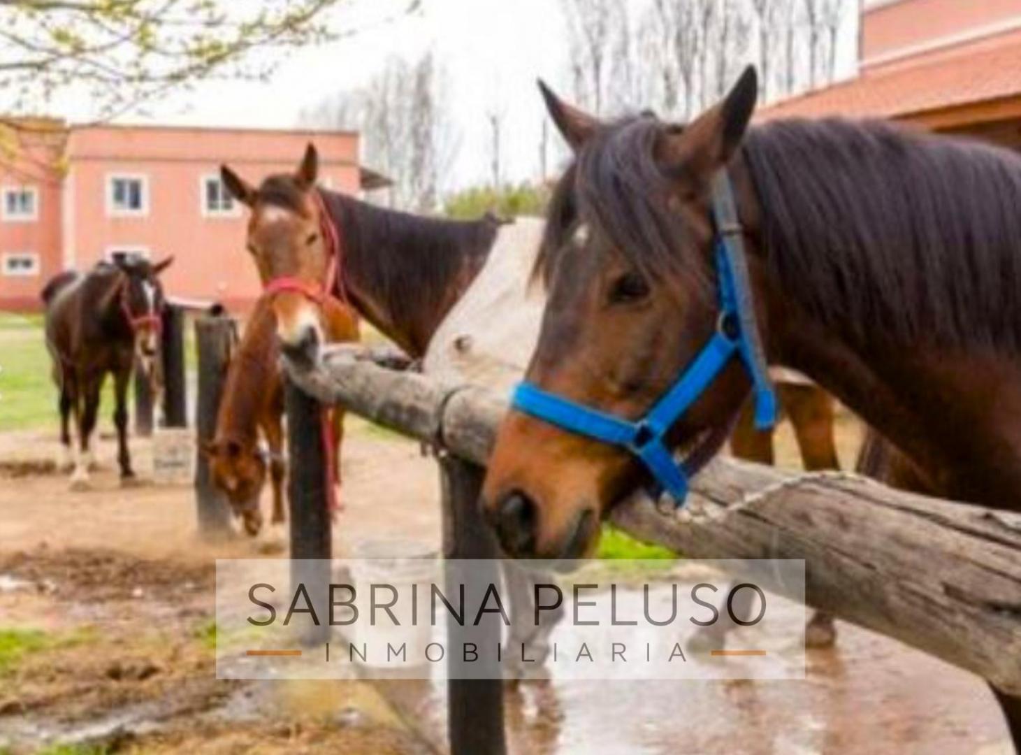 Foto de Venta Terreno Haras del Sol, imagen 3