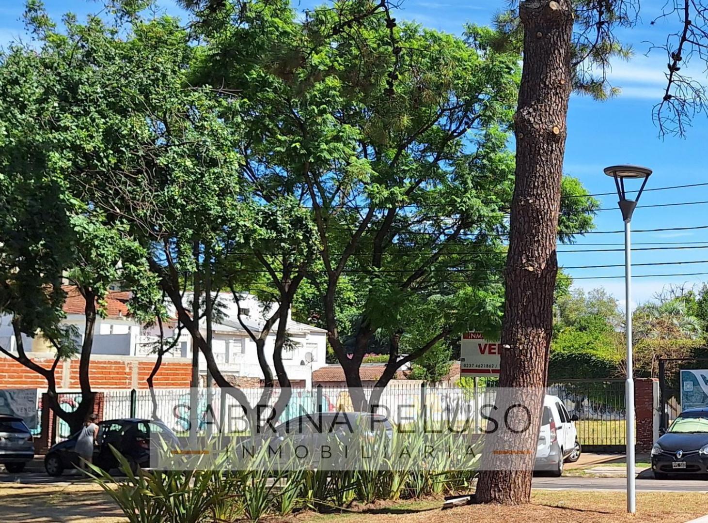 Foto de Venta Terreno Moreno centro, imagen 3